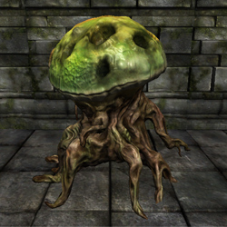 Avatar du membre