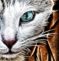 Avatar du membre