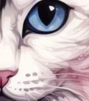 Avatar du membre