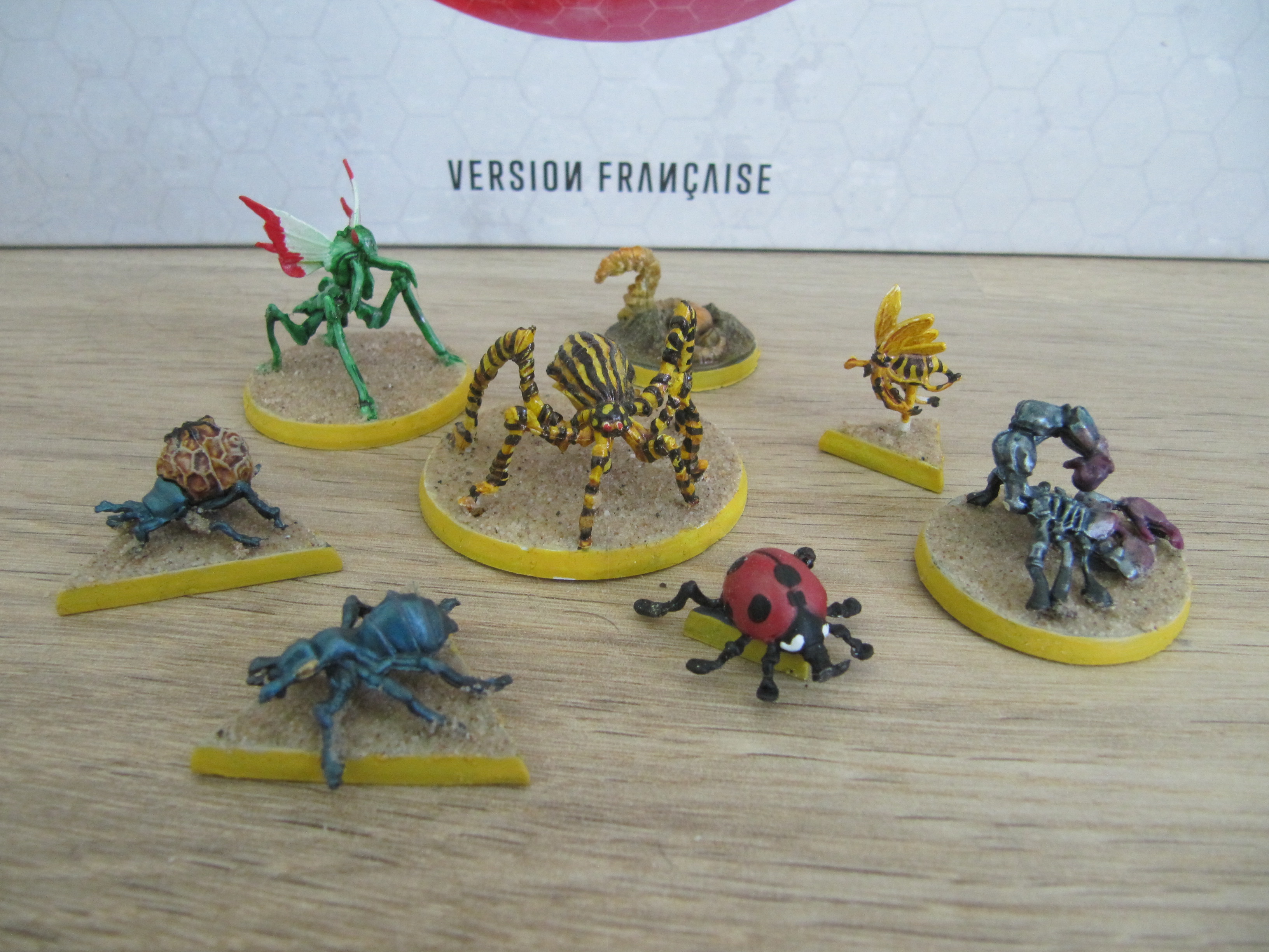 Group (3).JPG