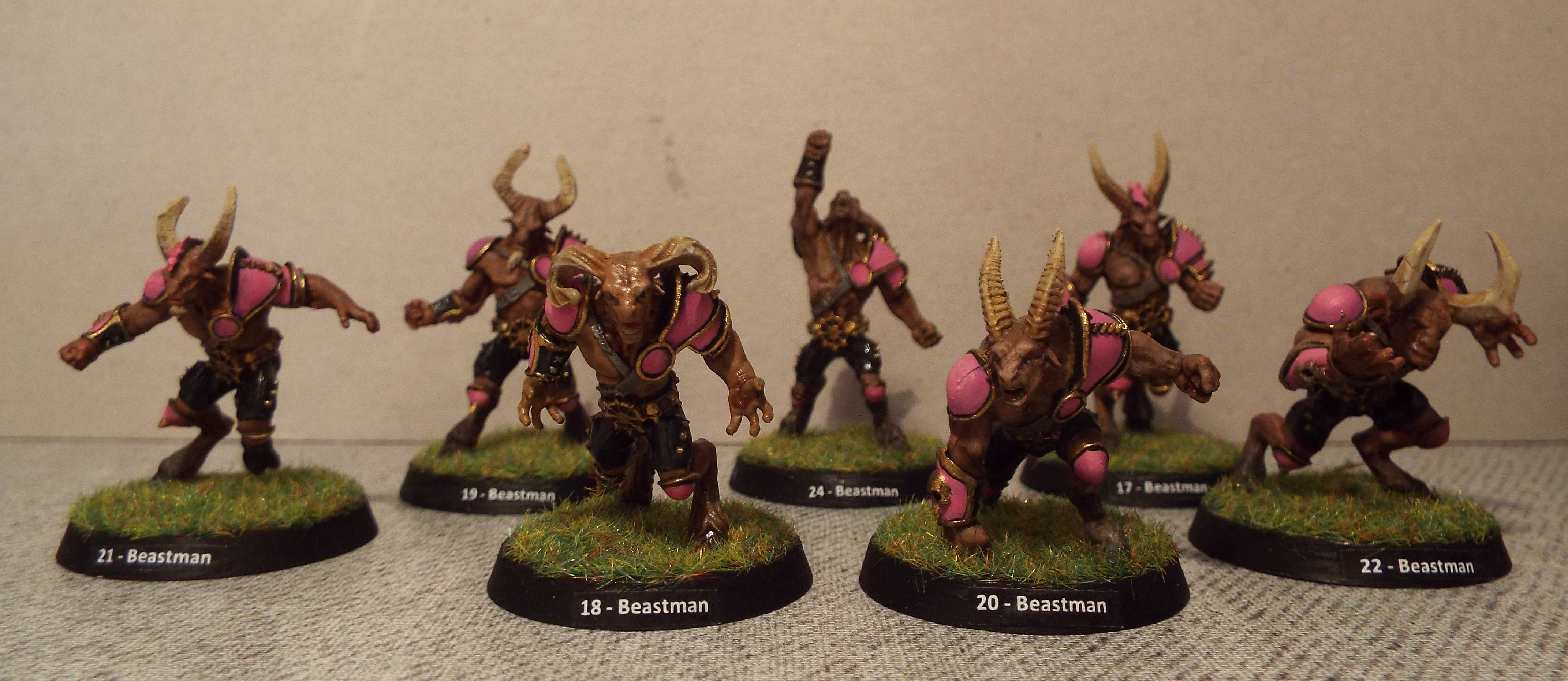 BB Beastmen.jpg