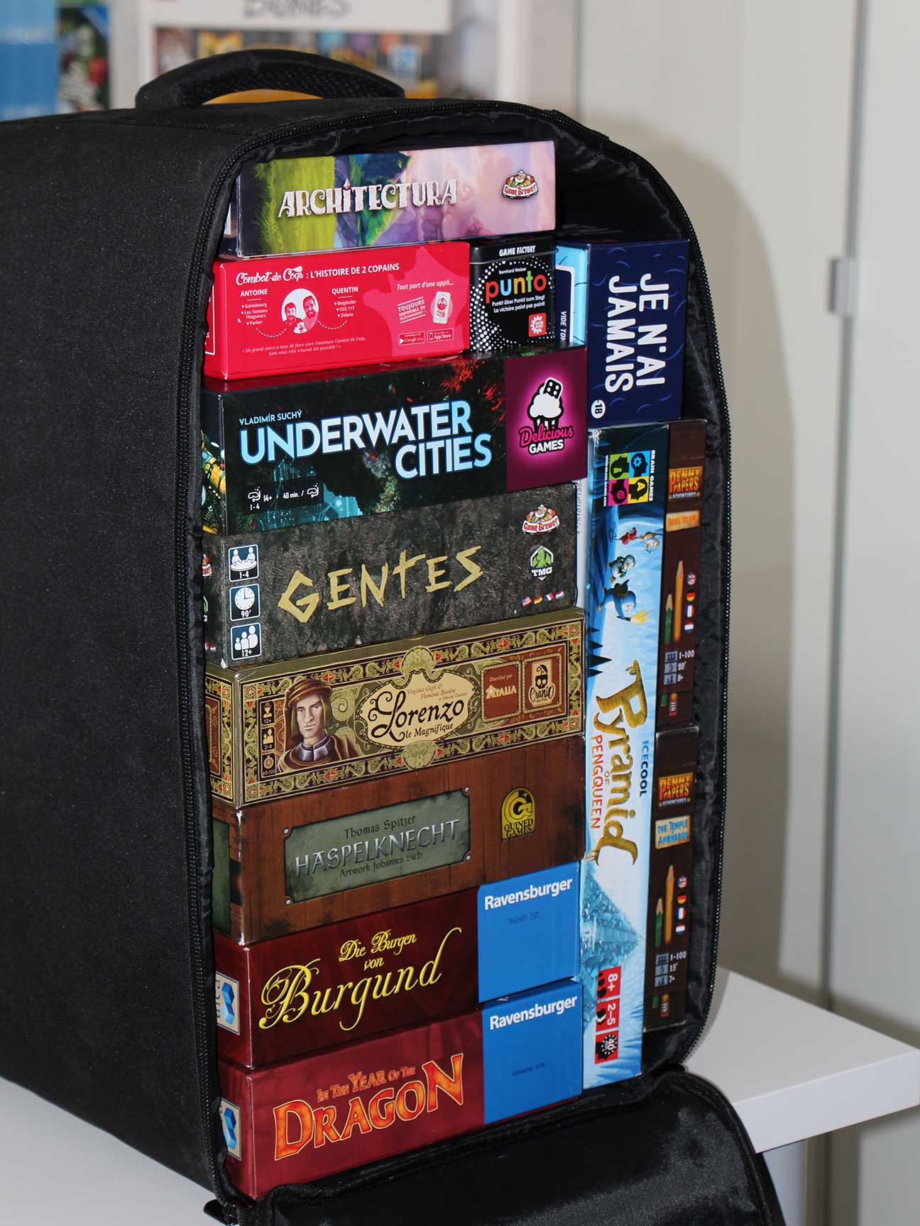 Sac_multi_jeux.jpg