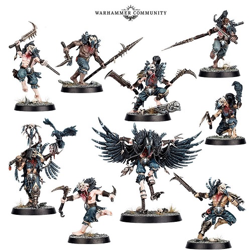corvus.jpg