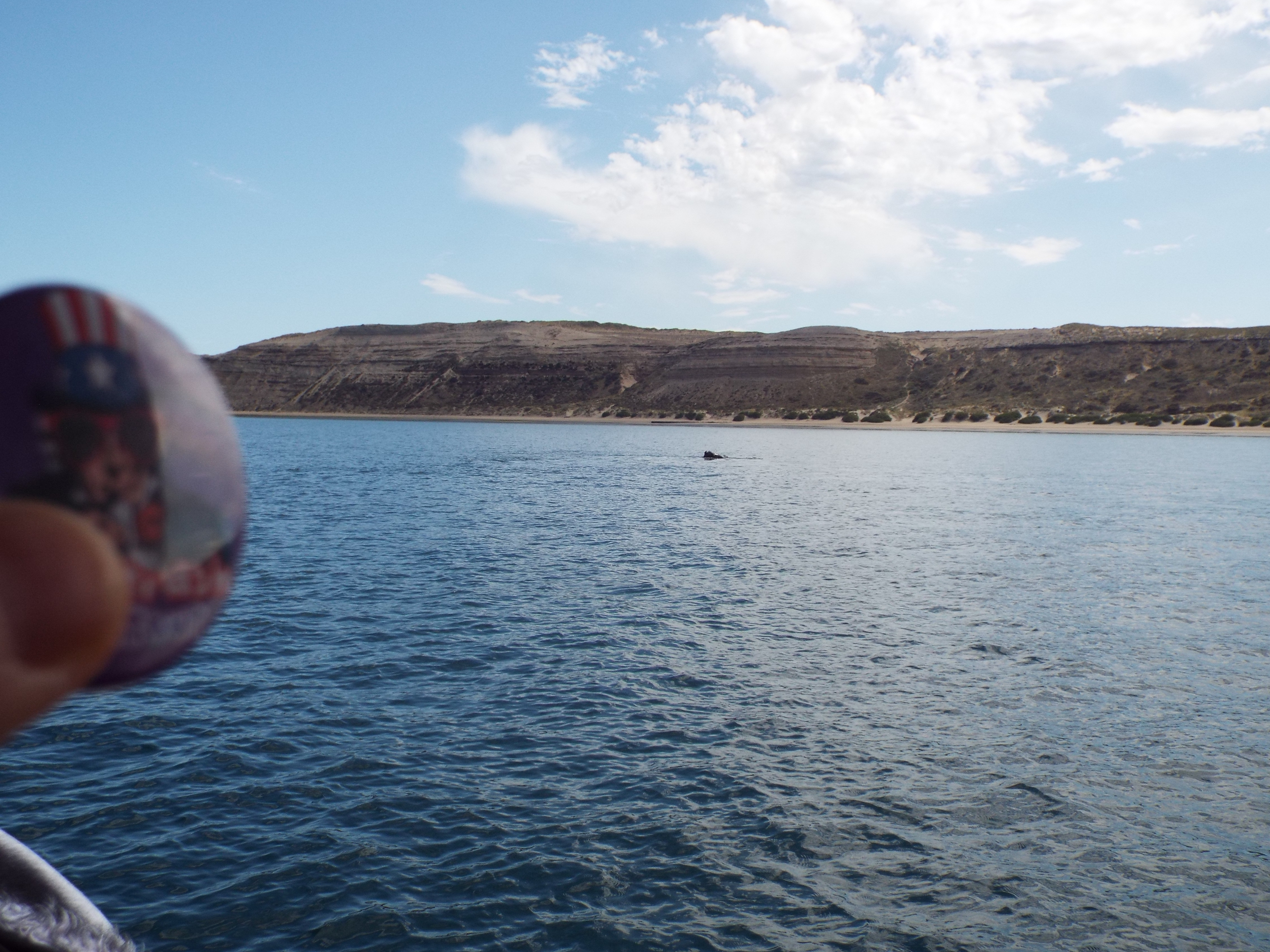 DSCF9364.JPG
