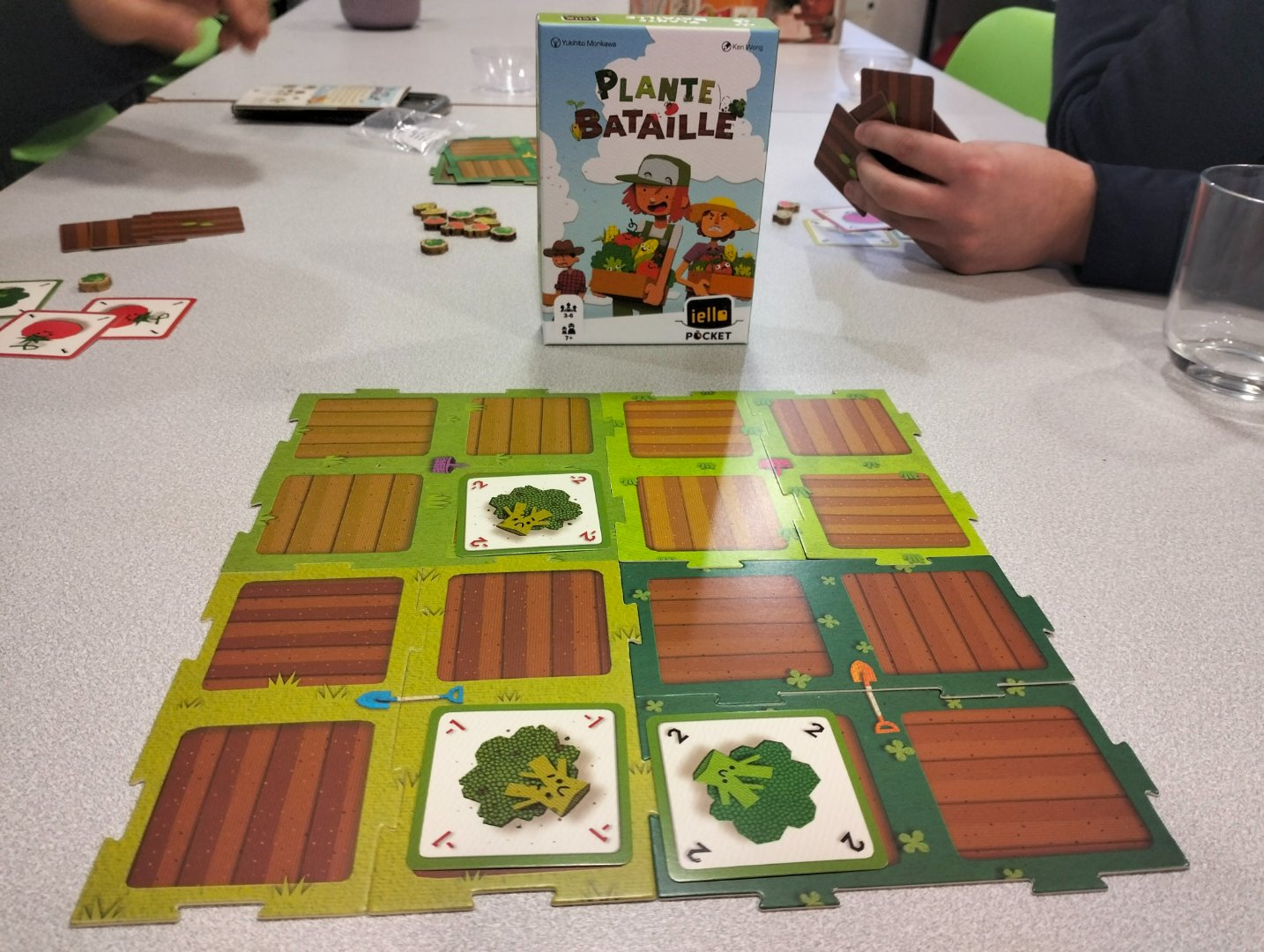 Plante bataille.jpg